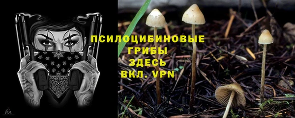 марихуана Новодвинск